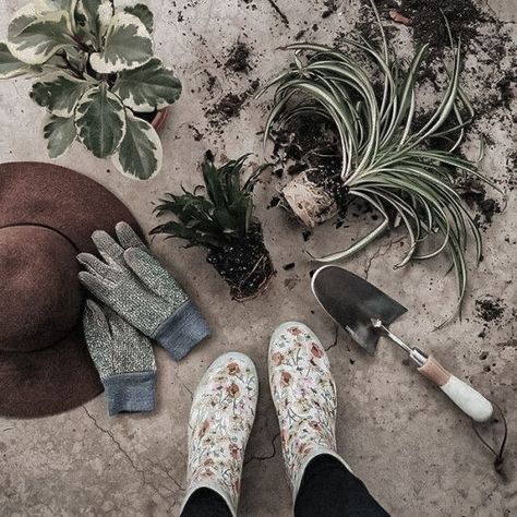 plants aesthetic; edited by abby. on pinterest. Plants Aesthetic, Farm Lifestyle, Plant Photography, Plant Aesthetic, Potting Shed, Hobby Farms, Old Farmhouse, Pretty Plants, Yard Work