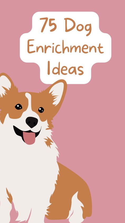 Dog Enrichment Ideas, Bored Dog, Diy Dog Toys, Dog Enrichment, Dog Games, Cheap Dogs, Enrichment Activities, Dog Information, Mental Stimulation