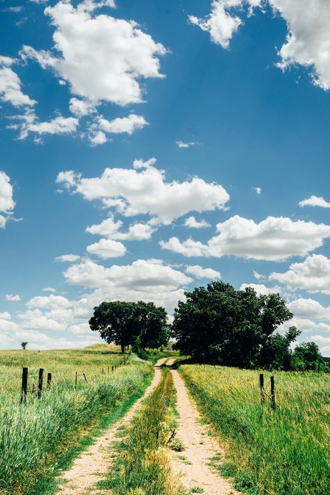 Nebraska Landscape, Countryside Photography, Nature Reference, Paint Inspo, Dirt Roads, Learn Photography, United State, Farm Scene, Story Board