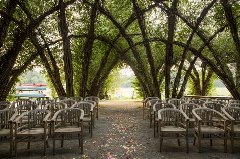 A Look Inside The Willow Dome, Germany's Natural Masterpiece - Garden Collage Magazine Living Willow Structures, Willow Dome, Willow Structures, Collage Magazine, Garden Collage, Plants In Bottles, Eco Garden, Farm Plans, Golden Days