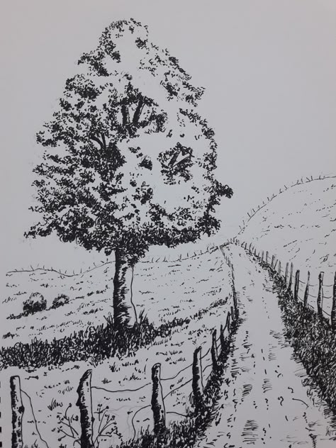 Fineliner Landscape, Pen Art Landscape, How To Draw Trees Step By Step, Landscape Drawings Pencil, Cool Animal Tattoos, Ink Drawing Techniques, Animal Tattoo Ideas, Nature Art Drawings, Draw Step By Step