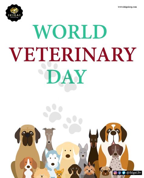 #World Veterinary Day... Take care of your pets... World Veterinary Day, Veterinary Day, Take Care Of Yourself, Take Care, Novelty Sign