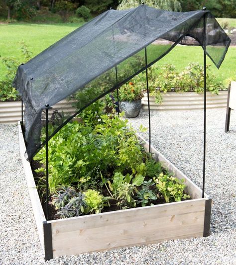 Shade Cloth Garden, Garden Shade, Diy Shades, Raised Garden Beds Diy, Diy Yarn, Shade Cloth, Vegetable Garden Design, Raised Bed, Covent Garden