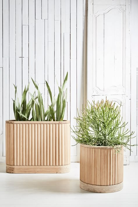 Adam Robinson's PLEAT COLLECTION of bamboo planters for House of Bamboo. Pictured colour is natural finish Plant Partition, Bamboo Planters, Modern Office Design Inspiration, Timber Planters, Bamboo Planter, Plant Box, Bamboo Crafts, Planter Design, Biophilic Design