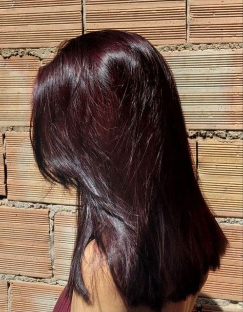 GORGEOUS RED HAIR COLOR IDEAS FOR GIRLS - color de pelo rojo Red Hair That Looks Black, Dark Dark Red Hair Color, Red Hair In Brown Hair, Brown Black Hair Ideas, Dark Velvet Hair, Red Hair In Black Hair, Very Dark Burgundy Hair, Dark Cherry Red Hair Pale Skin, Very Dark Red Hair Color