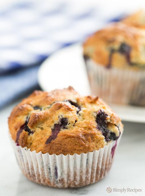 Blueberry Muffins ~ Fabulous blueberry muffins recipe —fluffy, and packed with blueberries.  An all time favorite. ~ SimplyRecipes.com Panera Blueberry Muffins Recipe, Panera Muffins, Jumbo Blueberry Muffins, Bread Blueberry, Mexican Bread Pudding, Keto Blueberry Muffins, Homemade Blueberry Muffins, Blueberry Oatmeal Muffins, Best Blueberry Muffins