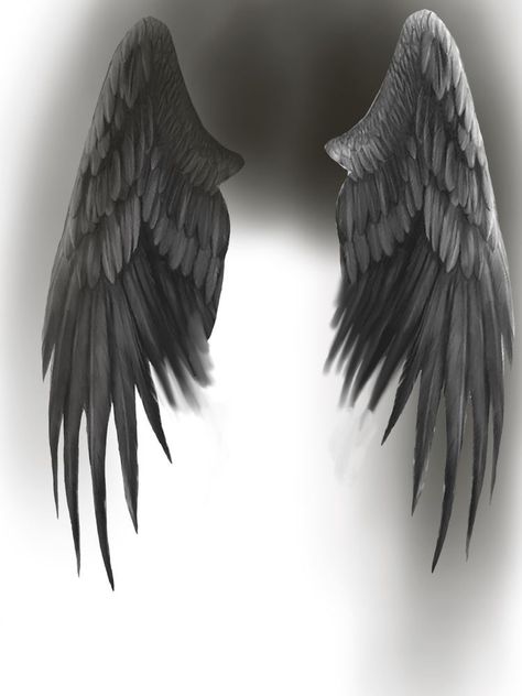 Angel Wing Reference, Fallen Angel Wings, Beautiful Spine Tattoos, Dark Angel Wings, Wing Tattoo Men, Wings Sketch, Angel Wings Drawing, Angel Wings Illustration, Spine Tattoo Ideas