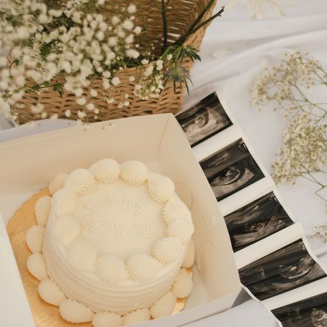 Baby #2 coming January 2025🩷💙👶🏼 We are so excited to be a family of four! Thank you @samishootsphotography for the beautiful photos and @bredenbecks for the delicious cake 🍰🥰 Pregnancy Announcement Cake, Pregnancy Announcement Pictures, Baby Coming Soon, Announcement Pictures, Baby Is Coming, A Family Of Four, Baby Inspiration, Shower Themes, Baby 2