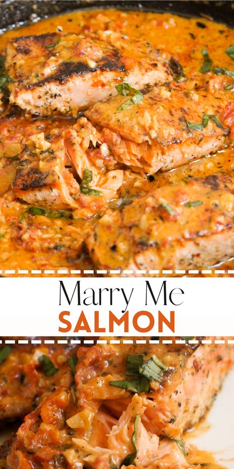 My easy Marry Me Salmon recipe is so yummy, it might just earn you a marriage proposal! This deliciously flaky salmon in a spicy, creamy sun dried tomato sauce takes just 40 minutes to get on the table, but tastes like you spent all day slaving away in the kitchen. Salmon And Sausage Recipes, New Salmon Recipes, Marry Me Food Ideas, Meals That Last A Few Days Dinners, Seafood And Fish Recipes, Salmon With Tomato Sauce, Date Night Fish Dinner Recipes, Creamy Salmon And Shrimp Recipes, Salmon Dinner For Two