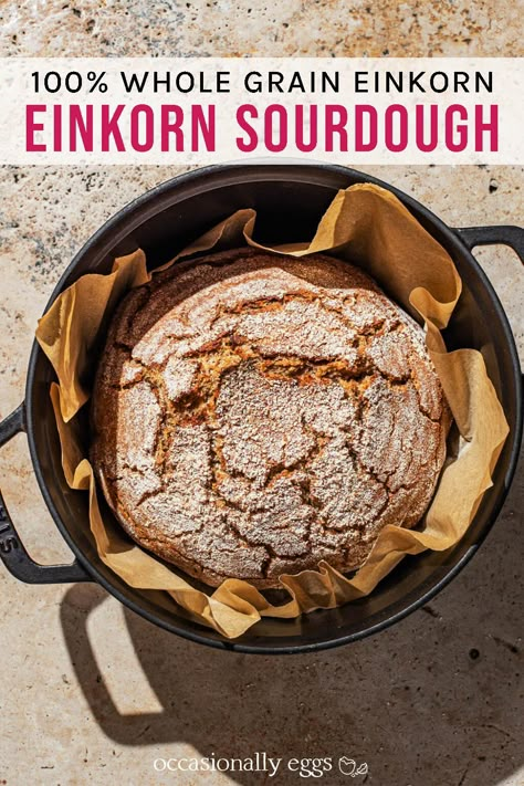 Ancient Grain Bread Recipe, Breakfast Bread Healthy, Einkorn Sourdough Bread, Sourdough Bread Loaf, Ancient Grains Salad, Ancient Grains Bread, Homemade Bread Rolls, Einkorn Sourdough, Einkorn Bread