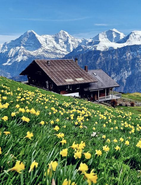 Rain Wallpapers, Bern Switzerland, Cozy Cabins, Nature Garden, Cozy Cabin, Travel Stuff, Bern, The View, Beautiful Landscapes