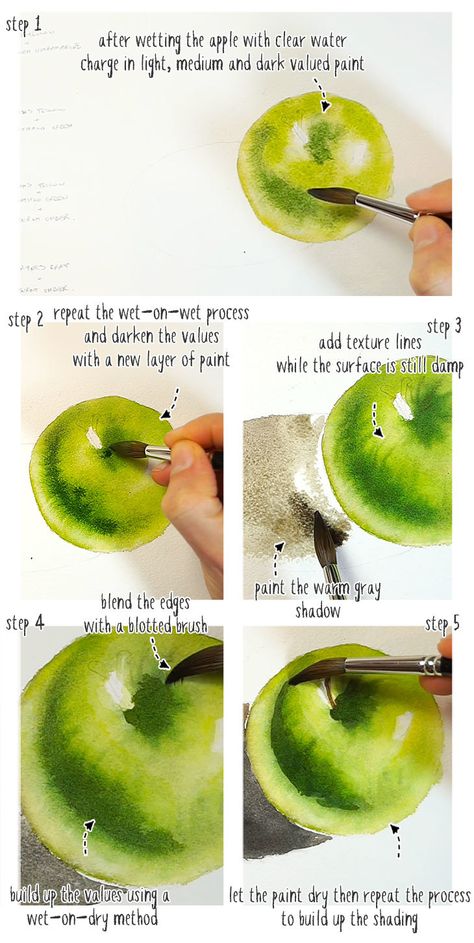 Watercolor Realism Tutorial, Realistic Watercolor Paintings Nature, How To Paint An Apple, Fruit Watercolor Painting Easy, Watercolor Shading Techniques, Realistic Watercolor Painting Techniques, Beginners Watercolor Step By Step, Watercolor Paintings Fruit, Watercolor Art Step By Step