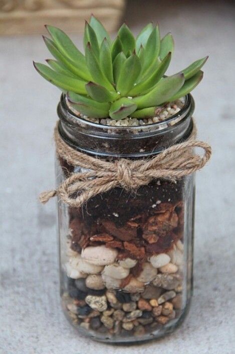 Succulent Idea Kaktus Dan Sukulen, Plant In Glass, Recycled Jars, نباتات منزلية, Succulents Decor, Decoration Garden, Mason Jar Crafts Diy, Terrarium Diy, Succulent Care