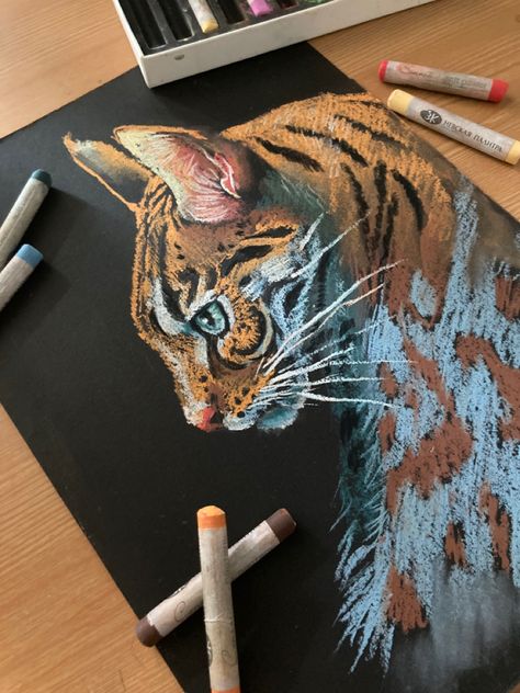 Cat drawing with soft pastel Soft Pastel Art On Black Paper, Black Paper Pastel Art, Pastel Art On Black Paper, Pastel Cat Drawing, Faber Castell Black Edition, Art On Black Paper, Pastel Cat, Draw A Cat, Chalk Pastel Art