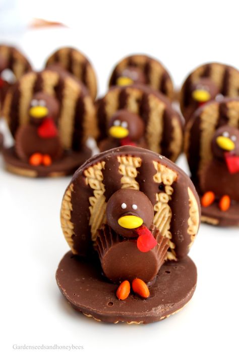 Turkey Cookie Treats - Garden Seeds and Honey Bees Thanksgiving Candy Crafts, Thanksgiving Turkey Cookies, Thanksgiving Food Crafts, Milk Balls, Turkey Cookie, Turkey Head, Chocolate Turkey, Fudge Stripe Cookies, Thanksgiving Desserts Kids