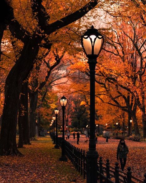 Autumn In New York, Autumn Magic, Autumn Scenes, Orange Aesthetic, Autumn Night, Autumn Scenery, Best Seasons, Vacation Places, Autumn Cozy