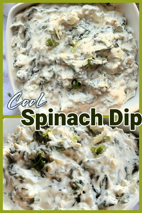 Creamy and cool spinach dip is the perfect way to serve up raw veggies, crackers or bread. Uses frozen spinach, water chestnuts, dry vegetable soup, sour cream and mayo. Packed with flavor - everyone loves it! Spinach Dip Cold, Spinach Appetizers, Pickle Dip Recipe, Best Spinach Dip, Spinach Dip Easy, Creamy Spinach Dip, Raw Veggies, Spinach Dip Recipe, Heart Recipes