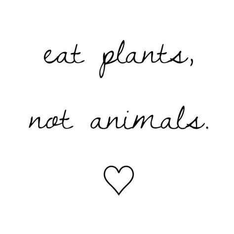 Non Vegetarian Quotes, Vegan Inspo Aesthetic, Vegetarian Aesthetic Quotes, Vegetarian Wallpaper, Vegetarian Drawing, Veggie Quotes, Vegetarian Aesthetic, Vegetarian Quotes, Greta Falcone