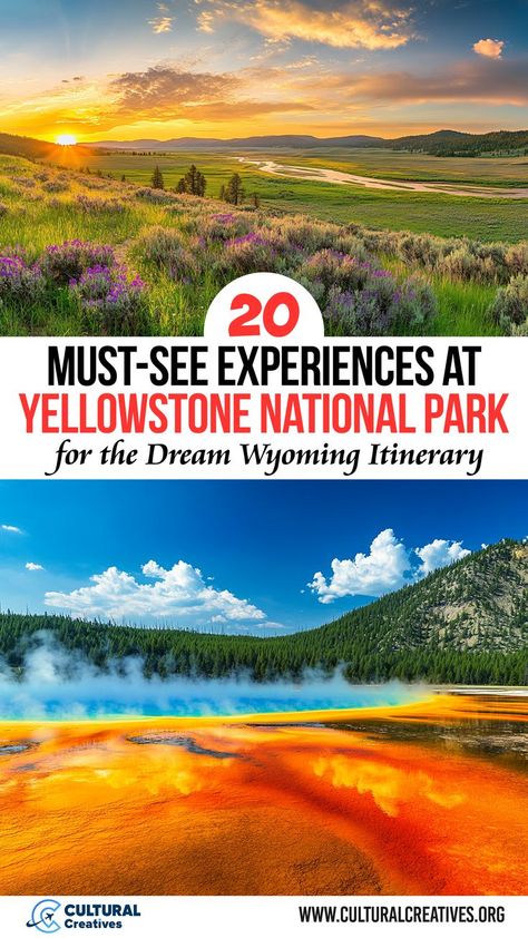 20 Must-See Experiences at Yellowstone National Park for the Dream Wyoming Itinerary showcasing a stunning sunrise over a wildflower-filled valley and the vibrant colors of the Grand Prismatic Spring. Things To Do At Yellowstone National Park, Yellowstone Must See, Yellowstone Things To Do, Things To Do In Yellowstone Park, Visiting Yellowstone National Park, Yellowstone National Park Aesthetic, Wyoming Itinerary, Yellowstone Wildlife, Yellowstone Vacation Planning