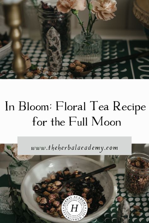 In Bloom: Floral Tea Recipe for the Full Moon | Herbal Academy | Sipping a cup of this Full Moon Floral Tea can help bring about a sense of calm and lightness in the heart. Medicinal Teas, Full Moon Tea, Properties Of Herbs, Moon Food, Moon Tea, Herbal Academy, Medicinal Tea, Harvesting Herbs, Tea Diy