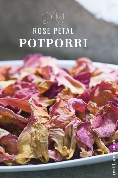 Diy Potpourri Dried Rose Petals, Dried Flowers Potpourri, Making Potpourri With Dried Flowers, Rose Petal Potpourri, Rose Simmer Pot, Potpourri Recipes Dried, How To Dry Rose Petals, Dry Petals Ideas, Dried Rose Petals Ideas