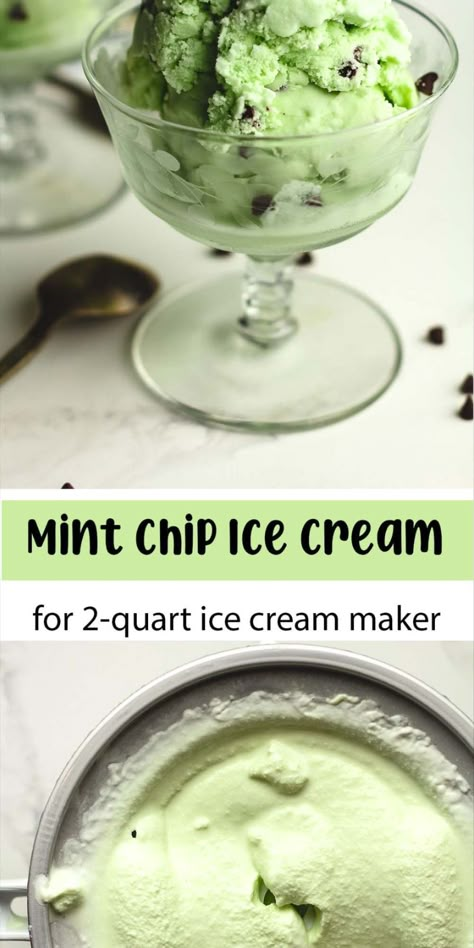 Try our timeless Mint Chip Ice Cream recipe that we've loved for years! Mix dairy, sugar, vanilla, tempered eggs, and mini chocolate chips with the perfect touch of creme de menthe for the most delicious ice cream ever! Mint Chip Ice Cream Recipe, Frozen Recipes, Mint Desserts, Mint Chip Ice Cream, Delicious Ice Cream, Mint Ice Cream, Frozen Cocktails, Family Friendly Recipes, Ice Cream Recipe