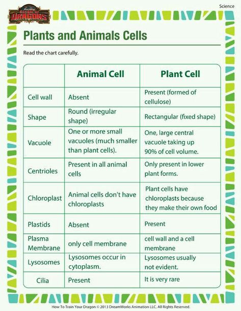 Cell Project, Cells Worksheet, Animal Cells, Science Cells, Plant And Animal Cells, Plant Cells, Study Biology, Biology Classroom, 7th Grade Science