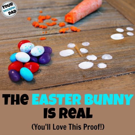 the Easter Bunny is real (you'll love this proof!) Easter Bunny Tracks, Easter Bunny Footprints, Easter Movies, Baking Crafts, Easter Books, Easter Hunt, Crafts Gift Ideas, Easter Games, Easter Morning