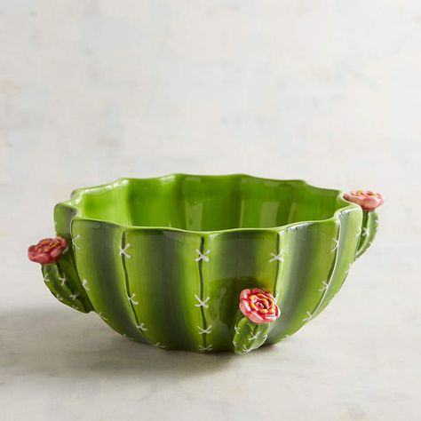 Pier 1 Imports Cactus Bowl Cactus Bowl, Cactus Ceramic, Pinch Pot, Cactus Decor, Keramik Design, Green Cactus, Pinch Pots, Cotton Balls, Bathroom Shelf