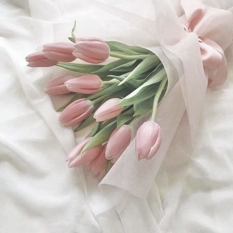 Boquette Flowers, Flower Therapy, Pink Tulips, Aesthetic Pink, Pink Aesthetic, Pretty Flowers, Make Your Day, Tulips, Short Videos