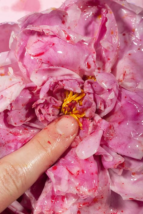 Maisie Cousins’s Visceral Images of Desire and Decay | The New Yorker Maisie Cousins, The Female Gaze, Feminist Artist, Female Gaze, London Photos, Feminist Art, Lubricant, Divine Feminine, Art Show