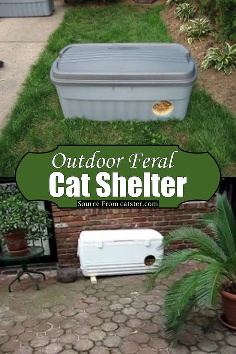 36 DIY Cat House Ideas For Winter Outdoor Animal Shelter Diy Winter, Diy Cat Bed For Outside, Diy Cat Outdoor House, Diy Outdoor Cat House Cheap, Cat House For Outside, Homemade Outdoor Cat Shelter, How To Build An Outdoor Cat Shelter, Outdoor Cat House Plans Diy, Cat Warming House Diy