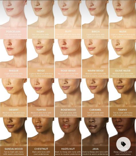 Skin Tone Chart, Skin Color Chart, Skin Tone Makeup, Neutral Skin Tone, Airbrush Foundation, Skin Undertones, Olive Skin Tone, Foundation Shade, Warm Skin Tone