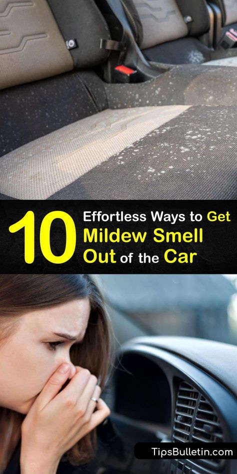 Explore car odor eliminator options for a bad smell coming from your car AC or interior. Clean mold from the seats and carpet with white vinegar, and remove your cabin air filter to clean the air conditioner to get rid of mildew odor for good. #remove #mildew #smell #car How To Clean Mold From Car Interior, Mildew Smell Out Of Carpet, How To Get Mildew Smell Out Of Carpet, Car Odor Eliminator Diy, Car Cleaning Tips Interior, Car Smell Hacks, Car Upholstery Cleaner Diy, Odor Eliminator Diy, Car Odor Eliminator