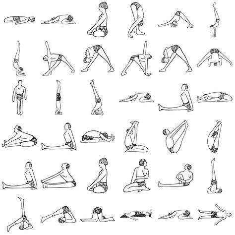 Forward Bends Yoga, Upper Back Muscles, Shoulder Stand, Triangle Pose, Forward Bend, Hip Raises, Mountain Pose, Corpse Pose, Arm Balances