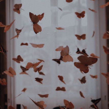 Yellow · Coldplay Butterfly Aesthetic, Dark Academia Aesthetic, Fantasy Aesthetic, Beige Aesthetic, Brown Aesthetic, Discord Server, Aesthetic Images, Character Aesthetic, Aesthetic Vintage