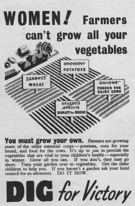 WWII British poster.  Dig for Victory. Gcse History, Consumer Education, Women Farmers, Victory Gardens, Dig For Victory, 1940s Kitchen, Ww2 Propaganda, Wwii Propaganda, Ww2 Posters