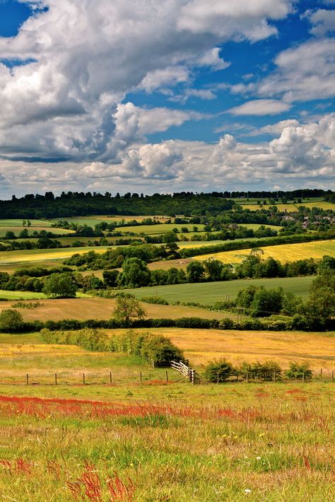 York County, Countryside Landscape, British Countryside, Landscape Photography Nature, Travel Tourism, English Countryside, Alam Yang Indah, Pretty Places, Landscape Photos