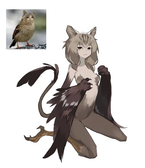 Majestic Cat, Bird Girl, Cat Bird, Anime Monsters, Monster Characters, Monster Girls, Creature Concept Art, Creature Concept, Know Your Meme