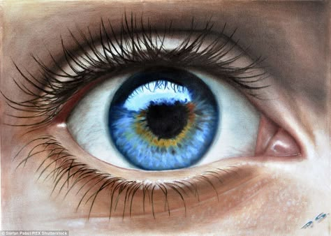 First look: After school, Mr Pabst, aged 15, moved to Germany where he joined a youth grou... Human Eye Drawing, Realistic Eye Drawing, Eye Drawings, Eye Expressions, Eyes Artwork, Drawing Eyes, Drawing Eye, Realistic Eye, Human Drawing