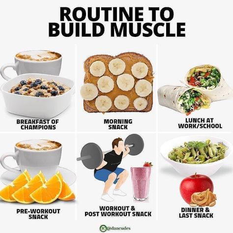 Calories Tutorial | Nutrition on Instagram: “🔥Routine to build muscle🔥⠀ -⠀ Are you trying to build muscle?⠀ Whether you work or go to school, how you schedule your day, and your…” Calorie Cycling, Bulking Meals, Healthy Weight Gain Foods, Food To Gain Muscle, Preworkout Snack, Weight Gain Meals, Detox Smoothie Recipes, Healthy High Protein Meals, Foods And Drinks