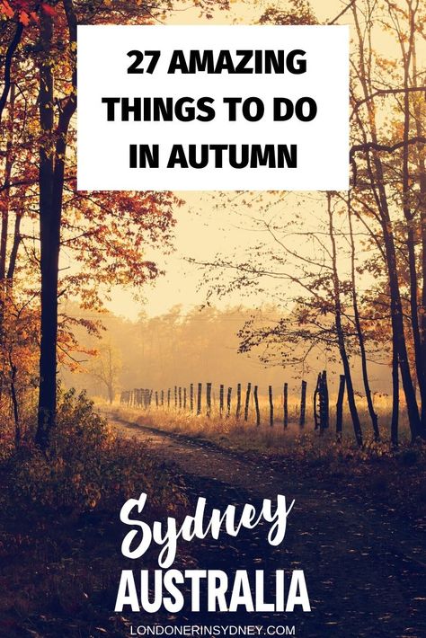 27 Things To Do In Autumn In Sydney This 2020 | #sydney #australia #autumninsydney #sydneymardigras #vividfestivalsydney #anzacday Autumn In Sydney, Sydney Autumn, Autumn In Australia, Travelling Places, Easter Show, Visit Sydney, Wales Travel, Best Rooftop Bars, Secluded Beach