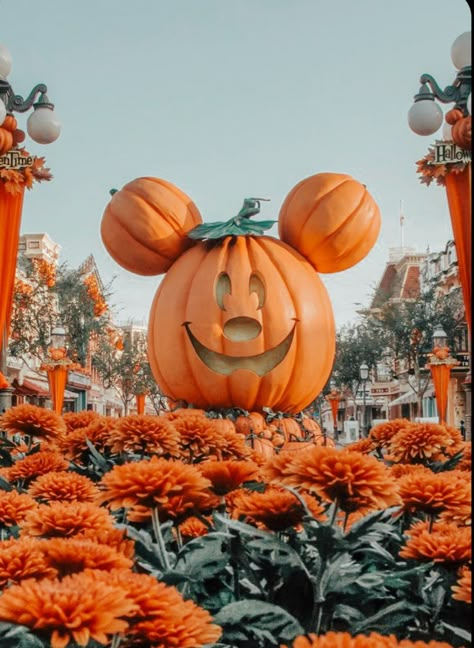 Cute Disney Fall Wallpapers, Helloween Wallpaper, Halloween Wallpaper Cute, Disneyland Halloween, Disney Wallpapers, Cute Fall Wallpaper, Halloween Wallpaper Iphone, Apple Watch Wallpaper, Disney Holiday