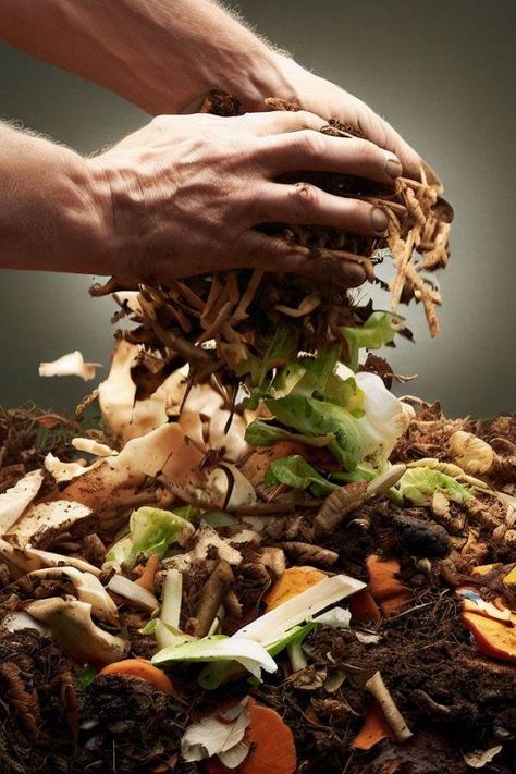 Composting is not merely a smart way to reduce household waste. It's an eco-friendly practice that transforms organic matter into a treasure trove of nutrients for your garden. One of the most abundant and readily available sources of organic material is right in your backyard: yard waste. From grass clippings and leaves to branches and spent flowers, your garden is an endless source of raw material for composting. The Gold in Yard Waste Yard waste might seem insignificant or even a nuisa... Green Campaign, Apartment Composting, Composting Ideas, Biodegradable Waste, Notebook Labels, Compost Soil, Organic Waste, Biodegradable Materials, Composting At Home