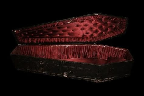 Aesthetic Coffins, Castlevania Dracula, Vampire Aesthetic, Vampire Goth, Sweet Revenge, Gothic Vampire, Victorian Goth, Gothic Aesthetic, Creatures Of The Night