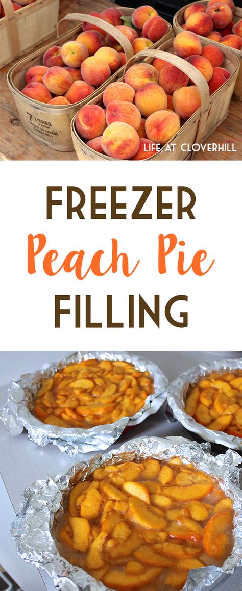 Peach Pie Filling Recipes, Freezing Peaches, Peach Freezer Jam, Peach Filling, Fresh Peach Recipes, Fresh Peach Pie, Pie Fillings, Peach Pie Filling, Peach Dessert Recipes