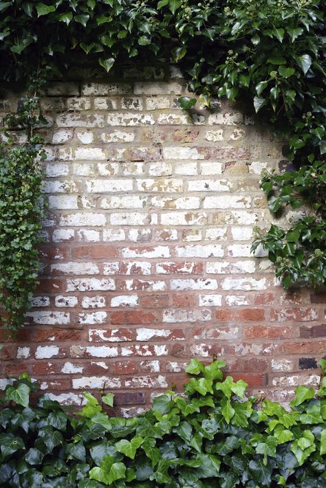 Ivy Brick Wall -To order this backdrop go to www.backdropscanada.ca Brick Wall With Plants, Secret Garden Tattoo, Earthy Industrial, Hades Town, Moulding Wall, Bathroom Drawing, Brick Wall Backdrop, Brick Wall Texture, Ivy Wall