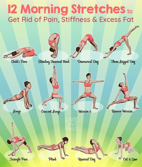 Morning Yoga Stretches, Morning Stretch, Latihan Dada, Yoga Nature, Morning Stretches, Yoga Stretching, Relaxing Yoga, Trening Fitness, Outfit Yoga