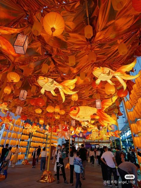 Chinese Fish Lantern, Chinese Festival Aesthetic, Chinese Culture Traditional, Chinese Items, Japan Party, Asian Festival, Chinese New Year Traditions, Lantern Chinese, Fish Lanterns