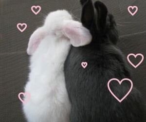 Emo And Soft Couple Pfp, Bunny Girlfriend, 일본 패션, Me N Him, Mia 3, Me And Him, Me And Who, Oui Oui, Naan